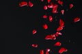 Red Rose Petals on Black Background