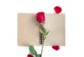 Red rose with petals and brown notebook for valentine background isolated on white background Royalty Free Stock Photo