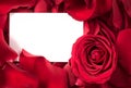 Red Rose Petals with Card Royalty Free Stock Photo