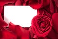 Red Rose Petals with Card Heart Royalty Free Stock Photo