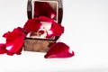 Red rose petals with diamond ring on white Royalty Free Stock Photo