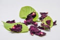 Red rose petals dry and green leaves dry, Wilted rose petals on white background Royalty Free Stock Photo