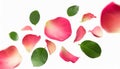 red rose petals falling or floating in the air isolated on white background with green leaves. Generative AI Royalty Free Stock Photo