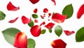 red rose petals falling or floating in the air isolated on white background with green leaves. Generative AI Royalty Free Stock Photo