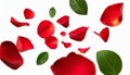 red rose petals falling or floating in the air isolated on white background with green leaves. Generative AI Royalty Free Stock Photo