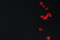 Red Rose Petals Falling in Front of Black Background Royalty Free Stock Photo