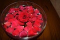 Red Rosepetals In Water filled Bowl Royalty Free Stock Photo