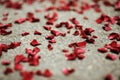 Red rose petals on the floor close up. Romantic valentine day. Royalty Free Stock Photo