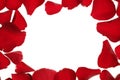 Red rose petals frame border, white copy space Royalty Free Stock Photo