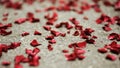 Red rose petals on the grey floor. Happy birthday party. Romantic valentine day. Royalty Free Stock Photo