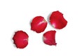 Red rose petals isolated clipping mask on white background with path, top view Royalty Free Stock Photo