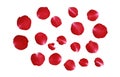 Red Rose petals isolated on white background - Back view and Clipping path Royalty Free Stock Photo