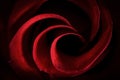 Red Rose Petals Macro - Abstract Royalty Free Stock Photo