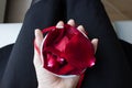 Red rose petals in a mug.