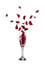 Red rose petals popping out of champagne glass into the air Royalty Free Stock Photo