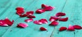 Red rose petals scattered on antique teal blue wooden background Royalty Free Stock Photo
