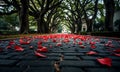 Red Rose Petals Scattered on Cobblestone Path Lined with Oak Trees Royalty Free Stock Photo