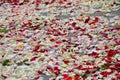 Red rose petals scattered on the pavement Royalty Free Stock Photo