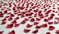 Red rose petals are scattered on a white surface Royalty Free Stock Photo