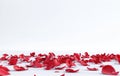 Red rose petals scattered on a white surface Generative AI Royalty Free Stock Photo