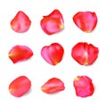Red rose petals set. Realistic vector