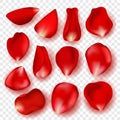 Red rose petals with shadow isolated on transparent background. Vector illustration Royalty Free Stock Photo