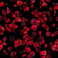 Red Rose Petals Texture on Black Royalty Free Stock Photo