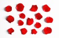 Red rose petals on white background, top view Royalty Free Stock Photo