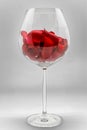 Red rose petals in wine glass on grey background. Romantic happy valentines day greeting card, women`s day, wedding invitation Royalty Free Stock Photo