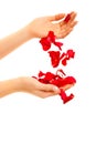 Red rose petals in woman's hand isolated Royalty Free Stock Photo