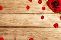 Red rose and rose petals on wooden table background Royalty Free Stock Photo