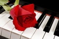 Red Rose on Piano Royalty Free Stock Photo