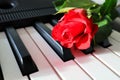 Red rose on piano keys. Concept of love, Valentine\'s day, wedding, mother\'s day.. Royalty Free Stock Photo