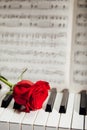Red rose on piano keys Royalty Free Stock Photo