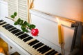 Red rose on piano keys and music book Royalty Free Stock Photo