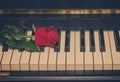 Red rose on piano Royalty Free Stock Photo