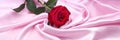 Red rose on pink silk background Royalty Free Stock Photo