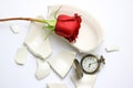 Red Rose and pocket watch laying on a broken bowl Royalty Free Stock Photo