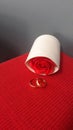Red rose porcelain vase. Wedding Golden rings. Royalty Free Stock Photo