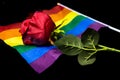 red rose on a rainbow flag, symbolizing love and acceptance Royalty Free Stock Photo