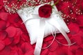 Red Rose on Ring Bearer's Pillow Royalty Free Stock Photo