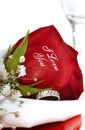 Red Rose that says I Love You Royalty Free Stock Photo