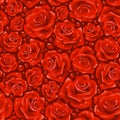 Red Rose seamless background