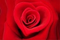 Red rose in shape of a heart