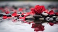 A red rose sitting on top of a pile of rocks, AI