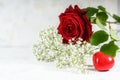 Red rose, a small heart shape and white flowers on a light background, love concept for valentines od motherÃ¢â¬â¢s day, copy space Royalty Free Stock Photo