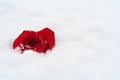 Red rose in snow Royalty Free Stock Photo