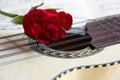 Red rose on a South American Charango