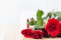 Red rose is a symbol of love. The young man prepared many roses to give to his girlfriend for a gift to her lover on Valentine`s Royalty Free Stock Photo