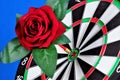 Red rose and a target for the sport of Darts. Rose flower Queen - a symbol of love and passion, decoration of the ceremonies of